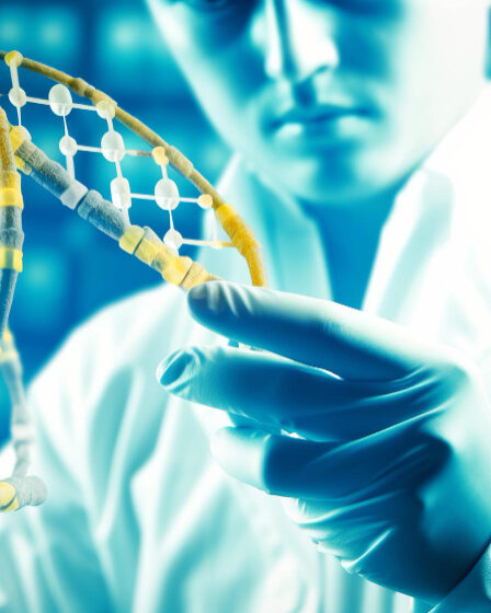 L'Impact des Facteurs Génétiques sur les Tremblements Essentiels : Une Analyse des Dernières Études